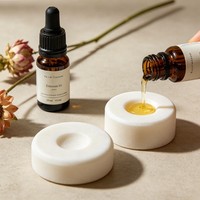 Échantillons d'huiles essentielles d'aromathérapie végétales, pierres parfumées pour la maison et la voiture, désodorisants longue durée, éliminateurs d'odeurs