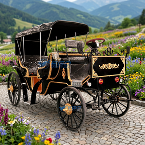 Carroza de Lujo de Dos Filas de Asientos para Paseos Turísticos, Carroza Histórica Real Eléctrica para Bodas, Carroza Turística - Product Image 6
