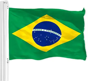 Индивидуальный Национальный флаг страны рекламная Реклама по всему миру Печатный полиэфирный флаг для всех стран баннер флаг
