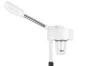 NOUVEAU 2024 - Vente en gros professionnelle - Appareil de beauté professionnel pour salon - Vaporisateur à ozone nano - Vaporisateur facial pour spa - Vaporisateur pour le visage