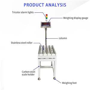 Roller Bench Check weigher Waage LCD 300kg Kapazität Computer daten ausgabe anzeige Übergewicht/Untergewicht Alarm OEM anpassbar - Product Image 2