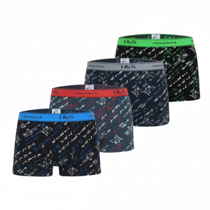 Boxer da uomo TERRA B4083 in seta traspirante Spandex Logo ricamato in vita a metà vita di buona qualità XL XXL 4XL taglie - Product Image 1