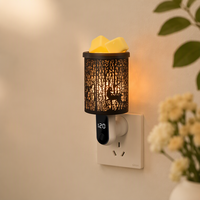 Brûleur d'huiles parfumées personnalisé ODM avec minuterie, décoration d'intérieur, plat amovible facilement, sans flamme, veilleuse, diffuseur d'arômes