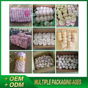 New Arrival Wholesale Garlic Box 10kg Normal White And Pure White Garlic Ail Fresco Alho Supply With Best Garlic Price In China