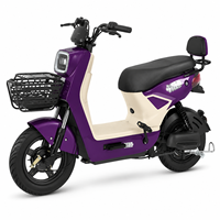 Vélo électrique brésilien EBIKE 48V 20Ah 500W à moteur sans balais, mini vélo électrique avec freins à disque hydrauliques, vente chaude
