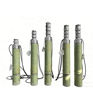 Inspección Previa al Envío de Bombas Sumergibles para Agua Salada, para Sistemas de Bombeo Industriales - Product Image 1