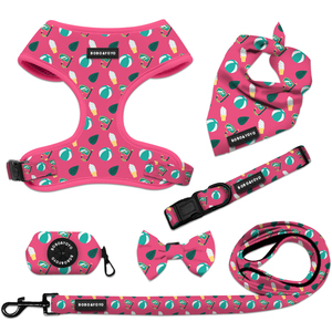 Arnés y Correa de Neopreno Personalizados de Lujo para Perros y Gatos, con Diseño de Logotipo Personalizado, Bajo MOQ - Product Image 1