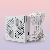 Alimentation PC blanche 650W 750W 850W 24 broches pour gaming, en stock, personnalisable OEM, directement d'usine pour serveur de bureau
