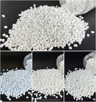 Masterbatch de remplissage Caco3 et Na2so4 à bon prix pour produits plastiques PE PP PS ABS – Masterbatch blanc