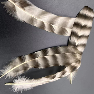 Plumas de <span class=keywords><strong>Pollo</strong></span> Naturales de 15-20 cm con Caña, Azules y Blancas, Plumas de <span class=keywords><strong>Pollo</strong></span> Salvaje, Accesorios Decorativos para Manualidades - Product Image 4