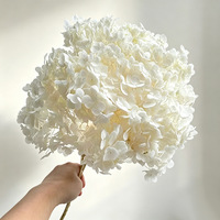 Hortensias séchés naturels et durables à grandes feuilles pour la décoration de mariages, fêtes, maisons et magasins