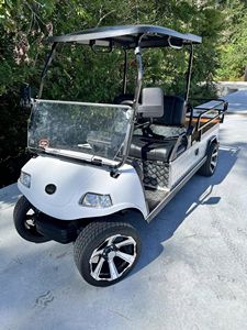 HDK Evolution Scooter Buggy 4 roues <span class=keywords><strong>chariot</strong></span> <span class=keywords><strong>chariot</strong></span> de <span class=keywords><strong>Golf</strong></span> électrique avec AC Pet Friendly véhicule utilitaire Mini Coco camion nouveau Style - Product Image 2