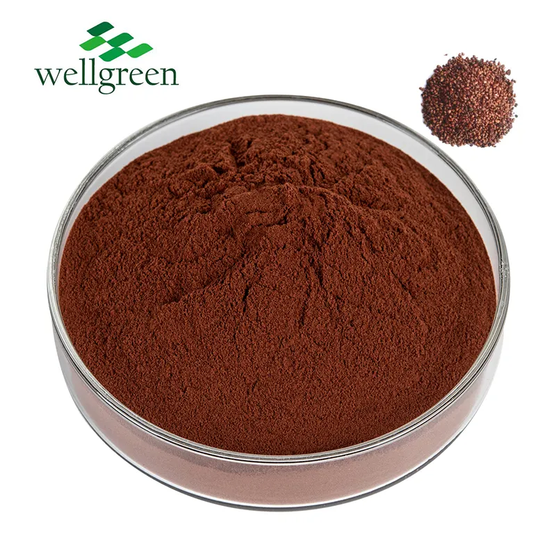 Proanthocyanidins 95% High Quality Grape Seed Extract Opc Grape Seed Extract