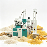 Machine à décortiquer le riz combinée haute efficacité 1200 kg/h avec fonctions de nettoyage, de déstonage, de décorticage, de séparation, de blanchiment et de calibrage