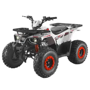 Moteur Tao meilleure vente, vtt chinois bon marché 125 125cc ATV 125cc