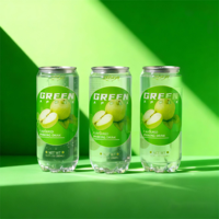 OEM Elisha/Marque privée 350ml Eau gazeuse aromatisée à la pomme verte Boissons gazeuses 12 mois de durée de conservation Vente en gros Xiamen