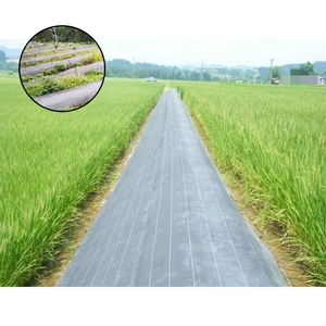 Film de paillette pour aménagement paysager de chine, couverture de <span class=keywords><strong>sol</strong></span>, plantes tissées pour agriculture - Product Image 1