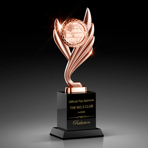 Trophées en Métal Créatif Personnalisé Or Argent Bronze Variations Globe Crystal Awards pour Championnat - Product Image 4