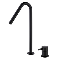Robinet de luxe 2026 à fixation sur bureau, rotatif à 360°, pour SPA, en acier inoxydable 304, à double trou, pour salle de bain et hôtel, style personnalisé, mitigeur séparé