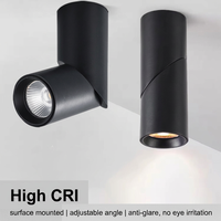 Luminaire moderne en aluminium à intensité variable 360° °   Spot LED rotatif à montage en surface pour plafond, éclairage d'intérieur pour salon
