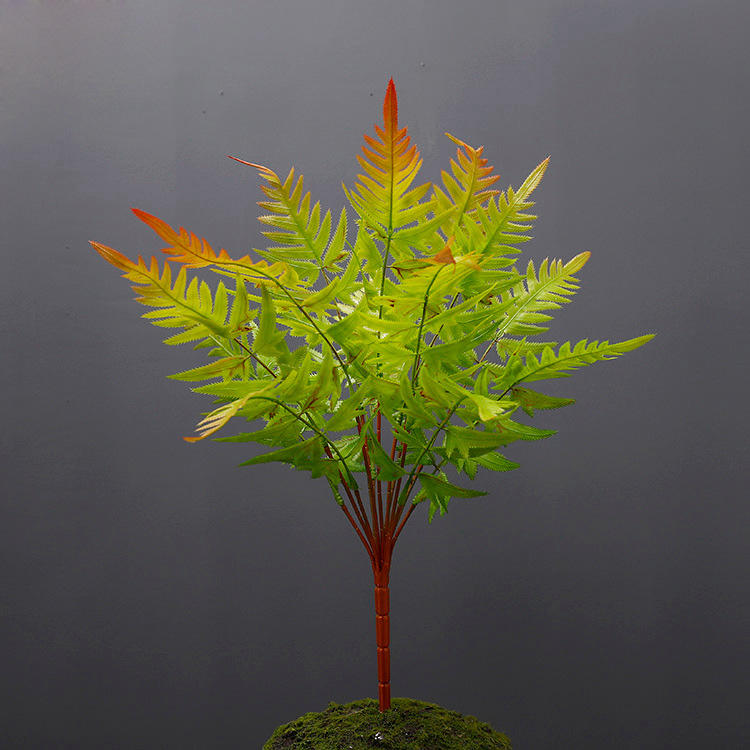 แดงและเขียว (45 ซม.)