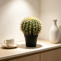 Nouveauté Décoration d'intérieur Pot en plastique Plante artificielle Succulente Cactus tropical Résistant aux UV Écologique Durable Vente en gros