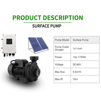 Pompe à eau solaire à grand débit, Kit d'irrigation agricole, pompe à eau de Surface solaire, vente en gros