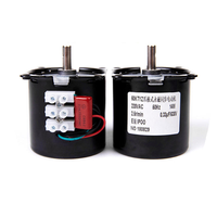 Moteur synchrone à aimant permanent 60KTYZ 220V 50/60Hz monophasé 1-110 tr/min 14W, montage sur panneau, étanche, pour le retournement des œufs