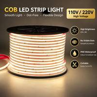 Bande LED COB Flexible 220V 110V, Rouleau de 100m, Étanche IP65, Sans Points Visibles, 3000K 4000K 6000K, Sans Pilote, Pour Extérieur