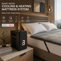 Matelas refroidi par eau pour système de refroidissement intelligent de lit, coussin à température réglable pour chambre, hôtel, usage en station balnéaire