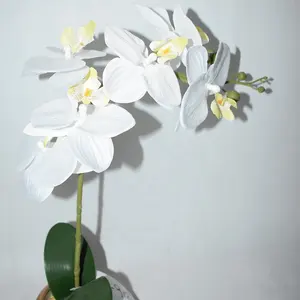 Décor À La Maison En Plastique 3 têtes 1 Fruit 2 feuilles D&#39;orchidées Dans Le Placage Pot D&#39;orchidée Artificielle Plante