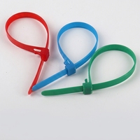 Collier de serrage double ligne en PVC, finition unie, réglable, personnalisable OEM, diamètre intérieur 29 mm, pour l'industrie lourde et l'exploitation minière