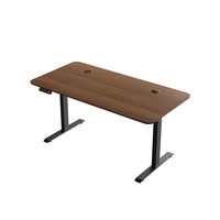 Bureau d'ordinateur pour le télétravail Wquantum, table réglable en hauteur, bureau à double moteur, bureau debout