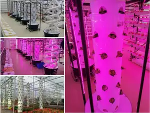 Vertikal wachsender Turm Mehr schicht iges Hydro ponic Plant Grow Kit Indoor Aeroponics Hydro ponics Erdbeer system