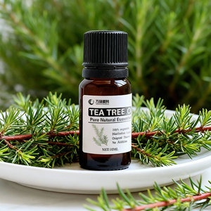 Aceite Esencial de <span class=keywords><strong>Romero</strong></span> y Árbol de Té, Natural, Herbal, Orgánico, Destilado al Vapor, 100% Puro, <span class=keywords><strong>para</strong></span> Aromaterapia, Cuidado de la Piel y <span class=keywords><strong>el</strong></span> Cabello, Marca Privada - Product Image 1
