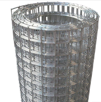 Fil de clôture en acier à faible teneur en carbone en PVC pour éleveurs de volailles, filet hollandais pour les vergers, fil de clôture soudé, cages à volailles, maille personnalisée