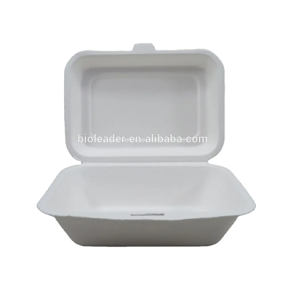 Emballage jetable de bagasse de canne à sucre de boîte écologique de Benton