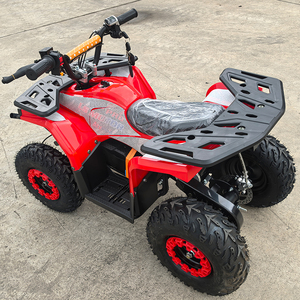 Liquidation à prix réduit : <span class=keywords><strong>Quad</strong></span> électrique 48V 1000W avec batterie au plomb 12AH et pneus tubeless de <span class=keywords><strong>6</strong></span> <span class=keywords><strong>pouces</strong></span> – Vente directe usine - Product Image 6
