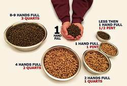 Personalizado Pequeno Pet Fácil Limpo Transparente Elevado Prateleira De Alimentação Cremalheira Personalizado Cor Acrílico <span class=keywords><strong>Dog</strong></span> Bowl Pet <span class=keywords><strong>Bowls</strong></span> Alimentadores - Product Image 4