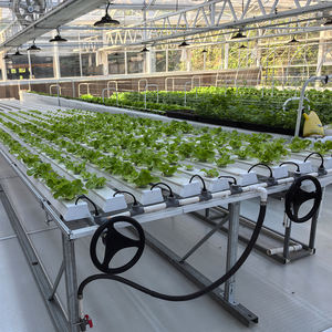 Banc roulant NFT mobile pour serre, gain de place - Product Image 2