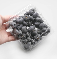 Boîte d'emballage de myrtille PET transparente de 125g OEM/ODM récipient à fruits en plastique jetable personnalisé avec trous d'évacuation d'air