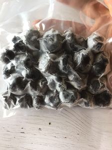 DETAN Wild Chinese Frozen Black Truffle <span class=keywords><strong>Precio</strong></span> - Product Image 6