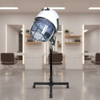 Sèche-cheveux professionnel de salon haut de gamme, à capot, sur pied, pour salon de coiffure et institut de beauté, vente en gros d'usine