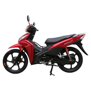 Questa motocicletta consuma meno carburante, occupa meno spazio quando viene immagazzinata ed è facile da riporre. - Product Image 6