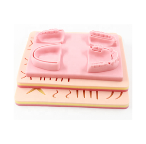 طقم ممارسة خياطة الأسنان من السيليكون الطبي Sciecne ، نموذج الأسنان وسادة الممارسة لممارسة طب الأسنان ، خياطة لأغراض تعليمية - Product Image 3