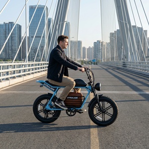 Vélo électrique grande capacité 16Ah pour adultes avec écran LCD, vélo électrique à pneus larges pour les trajets quotidiens et le sport - Product Image 4