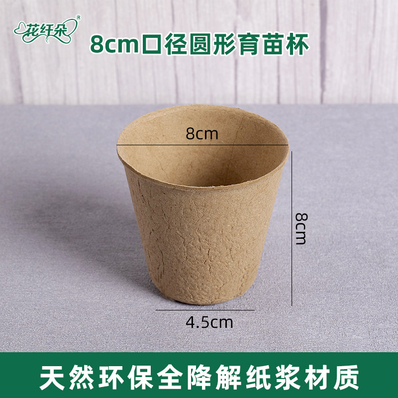 Gobelet à semis rond de 8 cm - sans trous de drainage