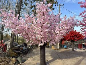 Arbre de fleurs de cerisier artificiel personnalisé, lumières LED Sakura d'intérieur, faux arbre décoratif, grande plante à fleurs artificielles, arbres à fleurs - Product Image 3