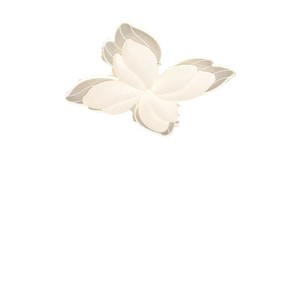 ไฟเพดาน LED ในร่มแบบทันสมัยไฟอัจฉริยะดีไซน์ดอกไม้แฟนซีควบคุมระยะไกลสำหรับห้องครัวห้องนอนห้องนั่งเล่นที่คลุมอะคริลิค - Product Image 1