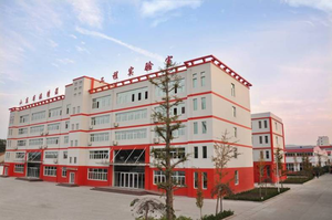 Vendita diretta in fabbrica per autocarri pesanti filtro olio 2630002500 nuove condizioni OEM filtri per auto guarnizione prezzo favorevole della cina XV - Product Image 4